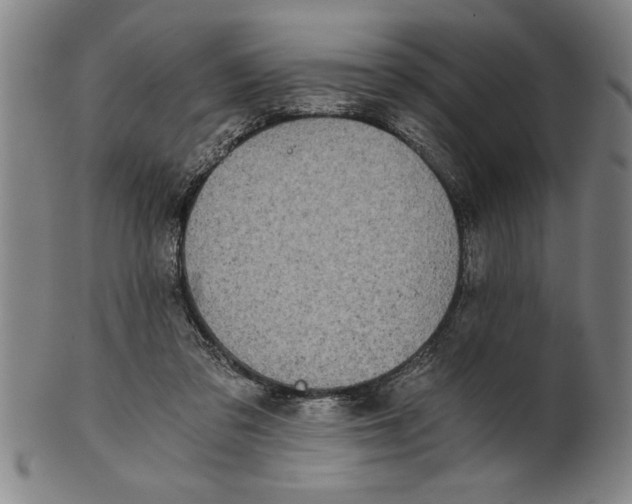 X0000101950309200808081511
