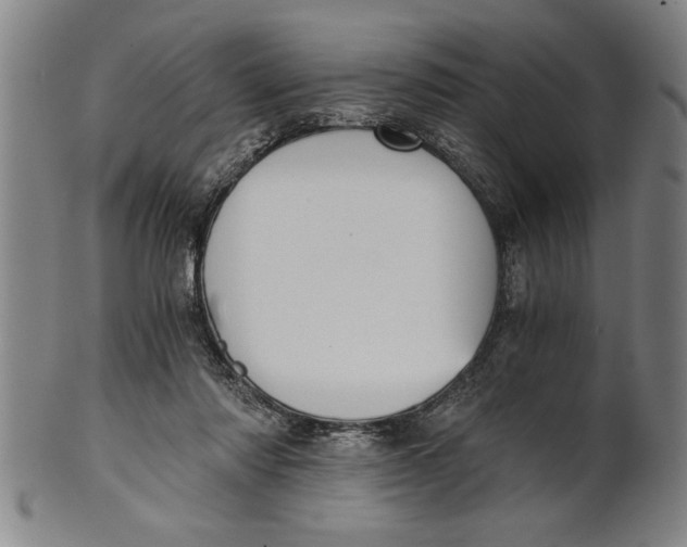 X0000101950310200808081511