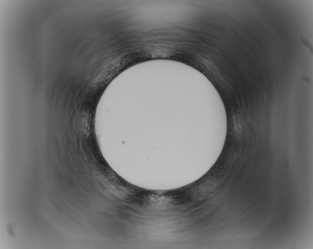 X0000101950311200808081511