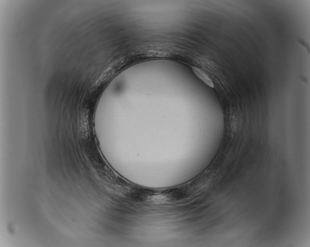 X0000101950312200808081511