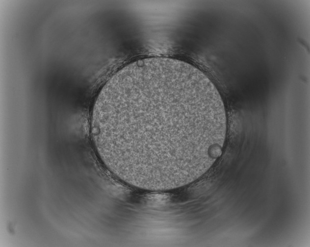 X0000101950313200808081511