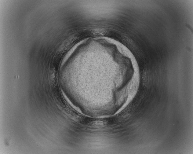 X0000101950314200808081511