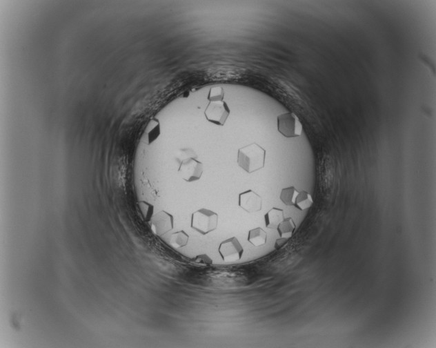 X0000101950315200808081511