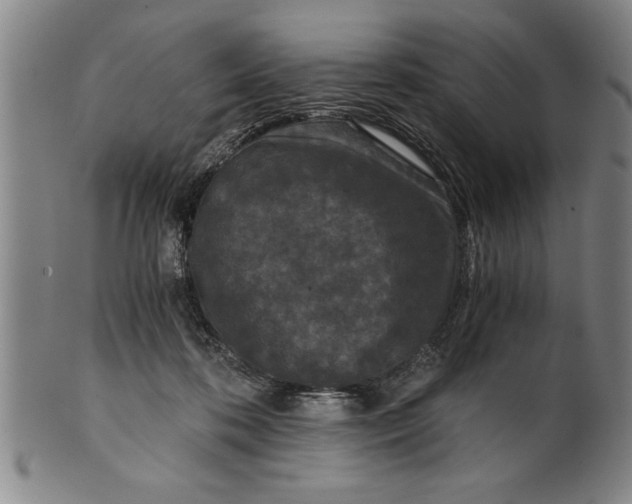 X0000101950316200808081511