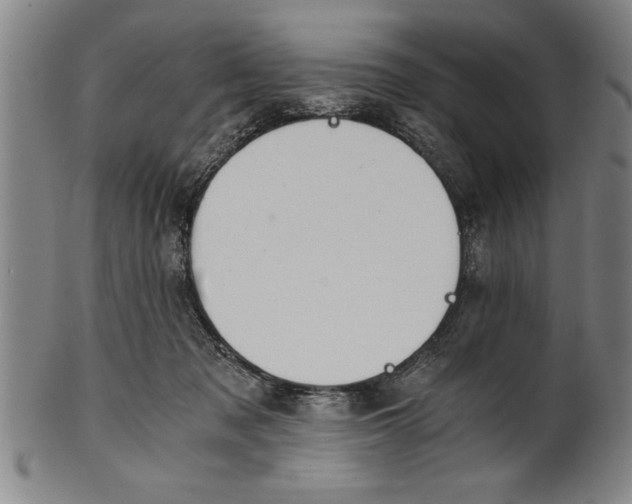X0000101950317200808081511