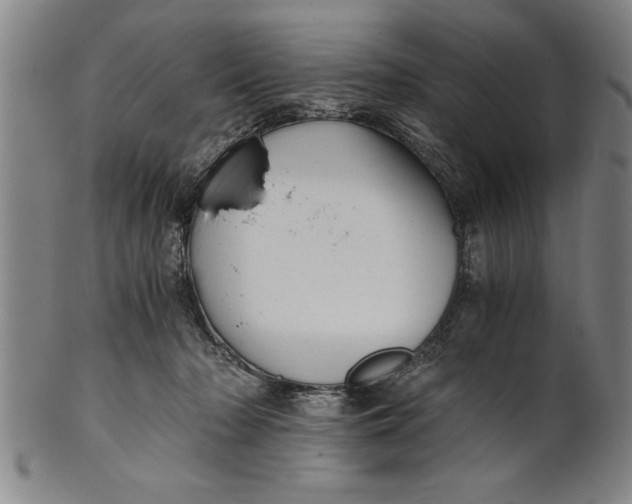 X0000101950318200808081511