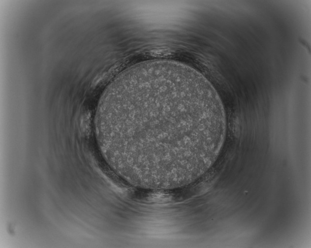 X0000101950319200808081511