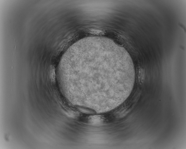 X0000101950320200808081511