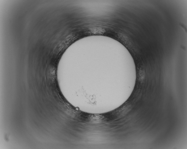 X0000101950321200808081511