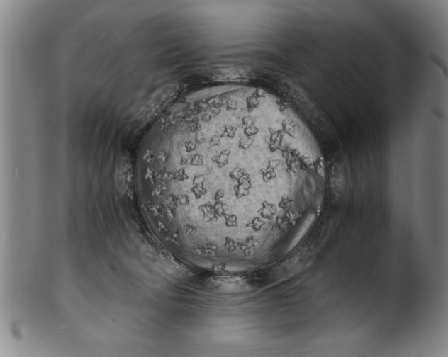 X0000101950322200808081511