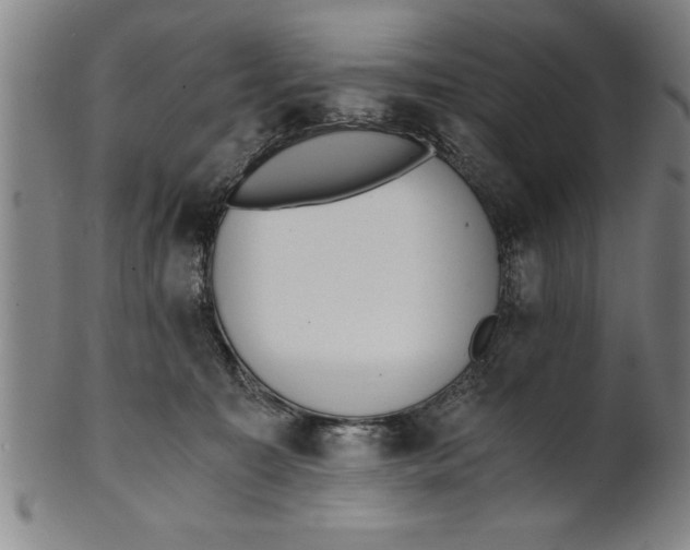 X0000101950323200808081511