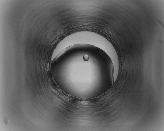 X0000101950324200808081511