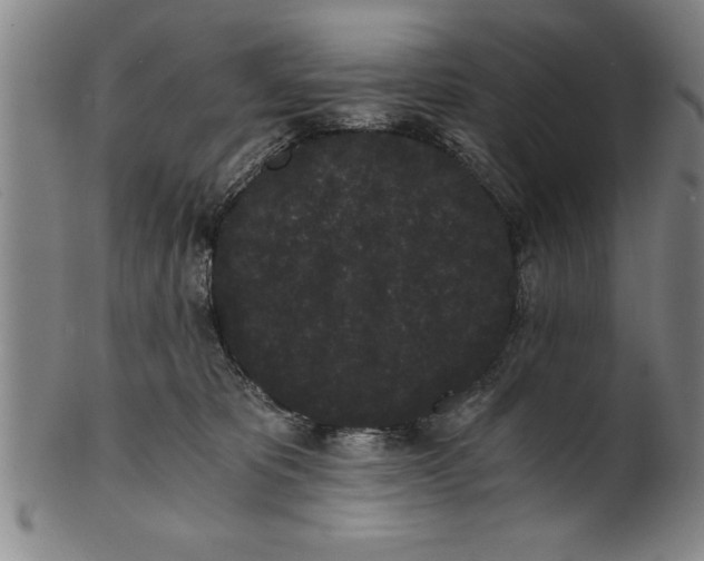 X0000101950325200808081511