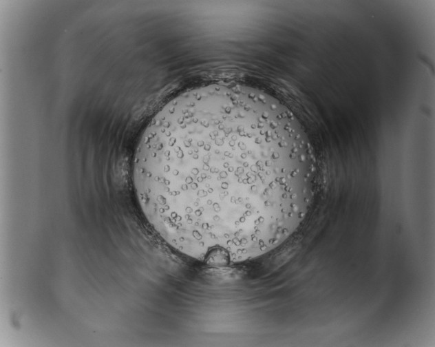 X0000101950326200808081511