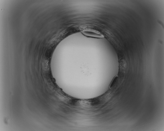 X0000101950327200808081511