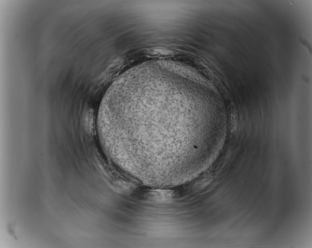 X0000101950328200808081511