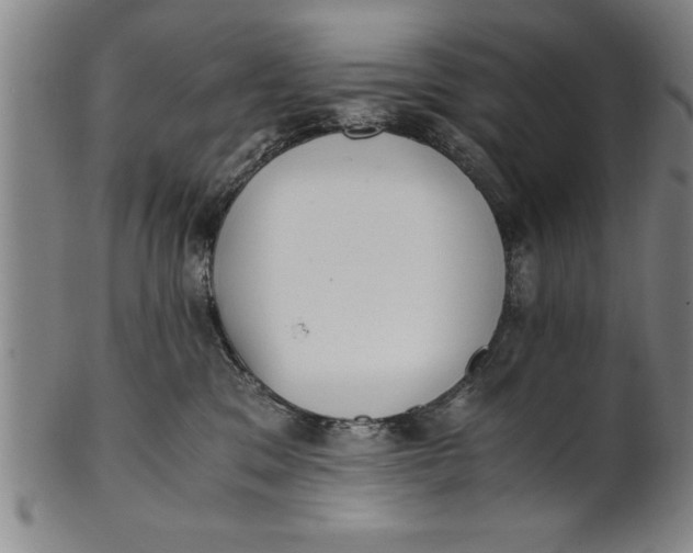 X0000101950329200808081511