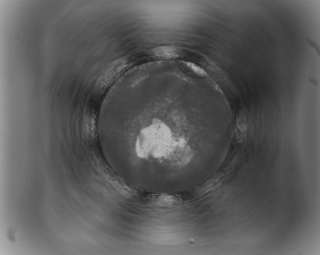 X0000101950330200808081511