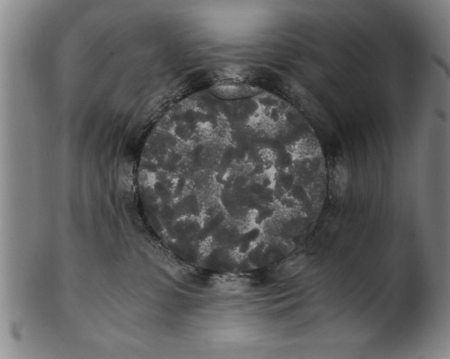 X0000101950331200808081511
