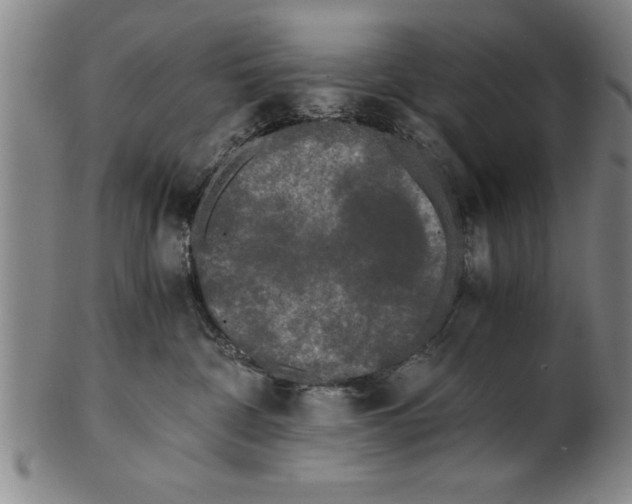 X0000101950332200808081511
