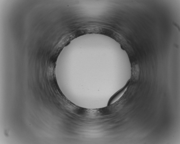 X0000101950333200808081511
