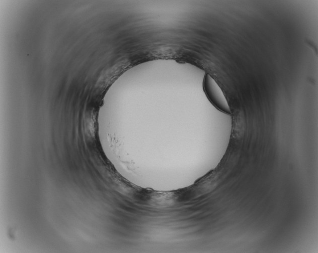 X0000101950334200808081511
