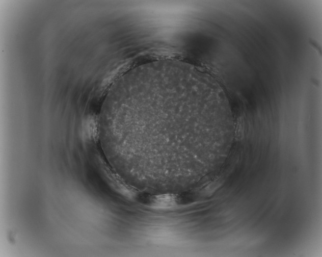 X0000101950335200808081511