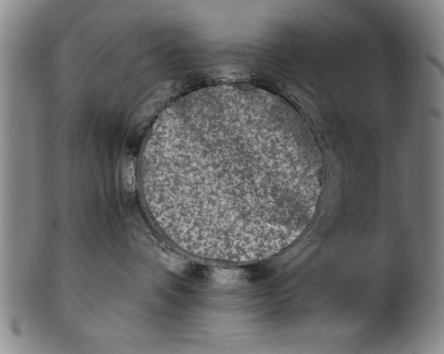 X0000101950336200808081511