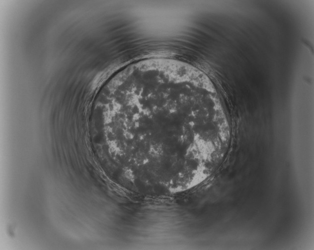 X0000101950337200808081510