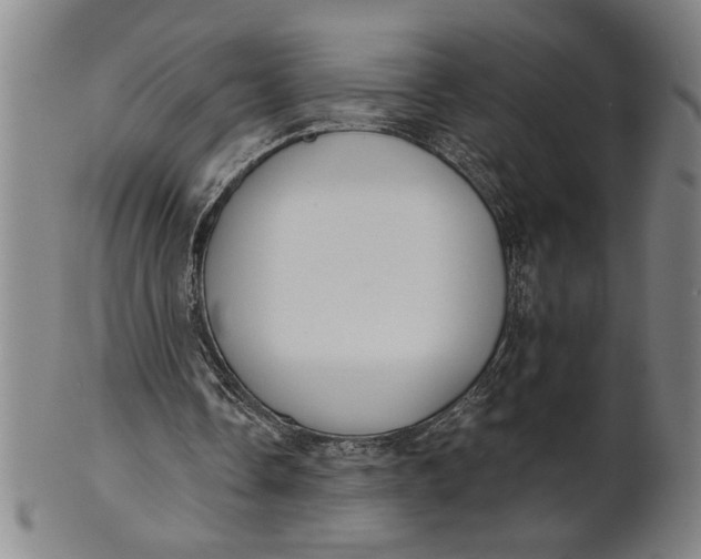 X0000101950338200808081510