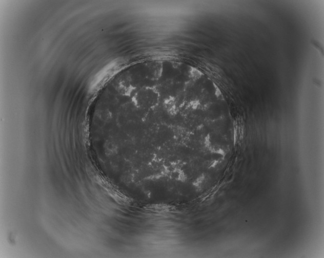 X0000101950339200808081510