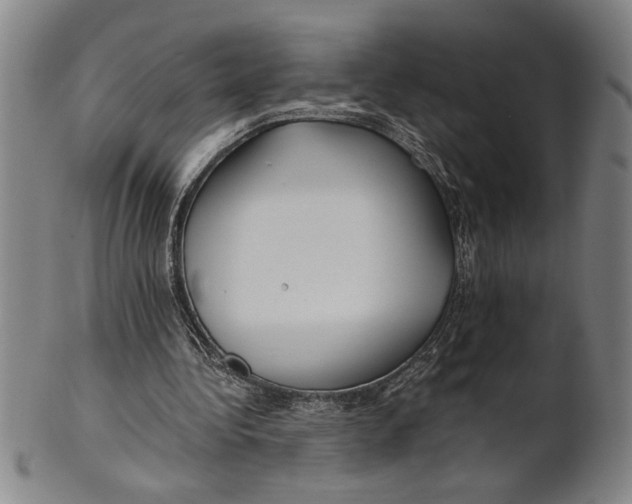 X0000101950340200808081510