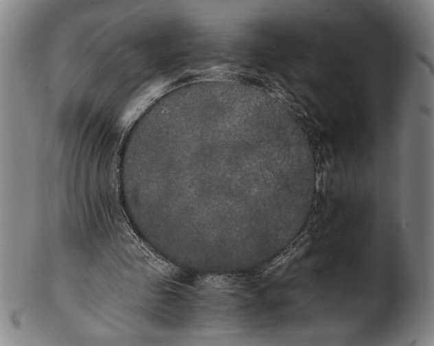 X0000101950341200808081510