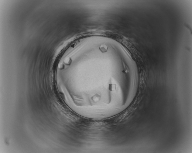 X0000101950342200808081510