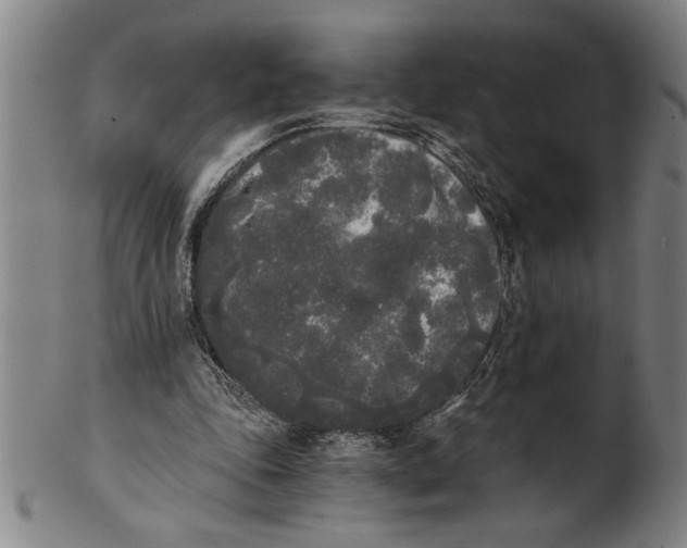 X0000101950343200808081510