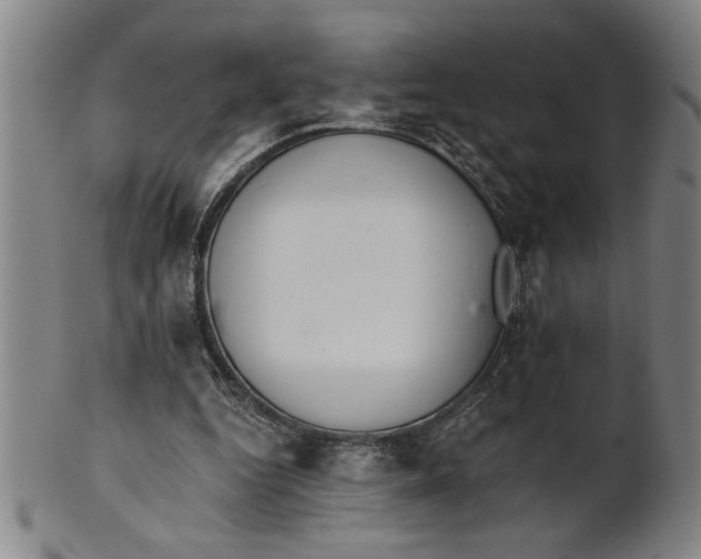X0000101950344200808081510