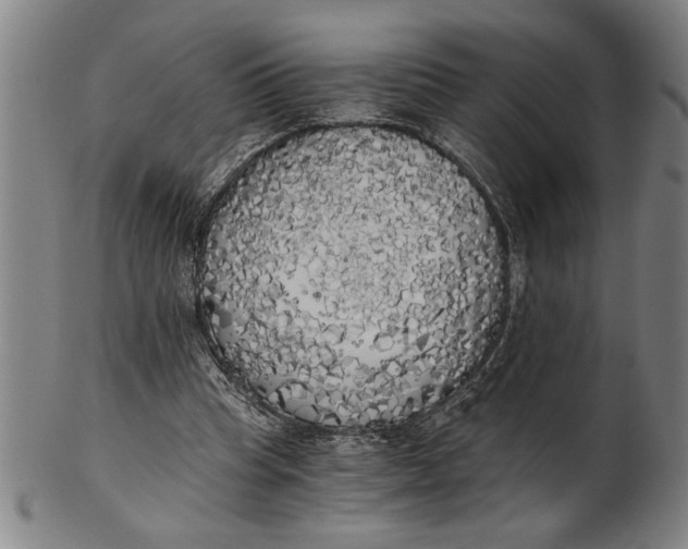 X0000101950345200808081510