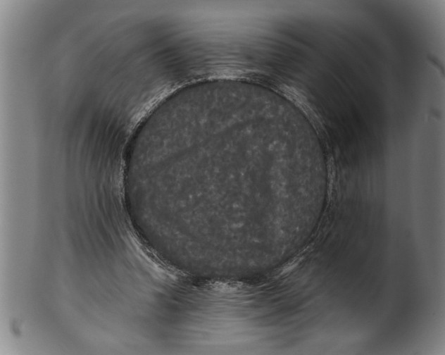 X0000101950346200808081510