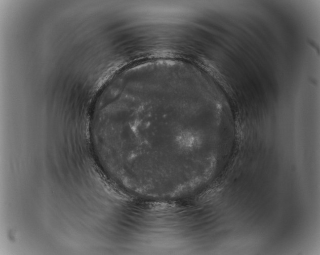 X0000101950347200808081510