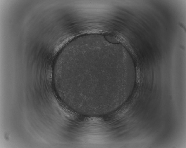 X0000101950348200808081510