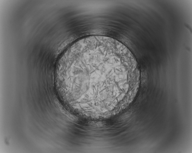 X0000101950349200808081510
