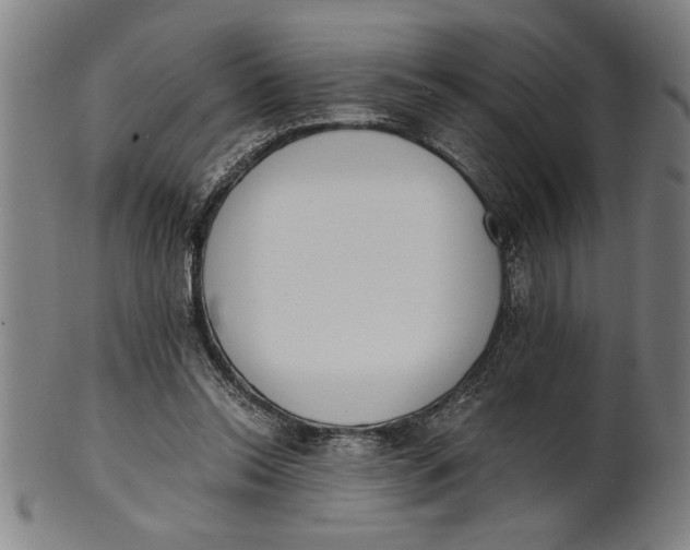 X0000101950350200808081510