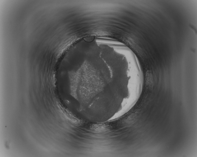 X0000101950351200808081510