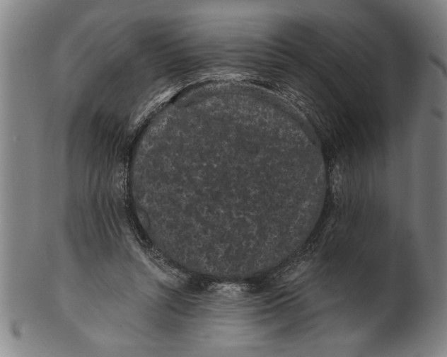 X0000101950352200808081510