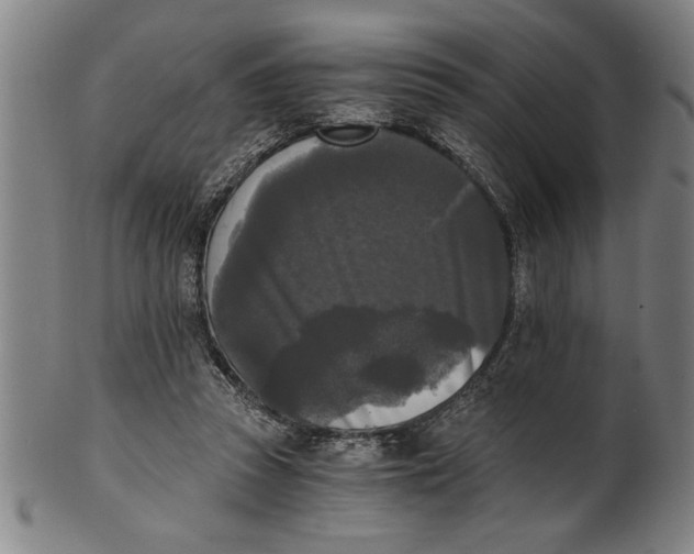 X0000101950353200808081510