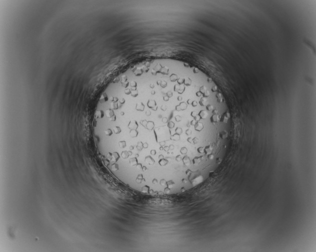 X0000101950354200808081510