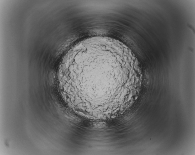 X0000101950355200808081510