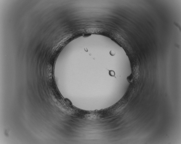 X0000101950356200808081510