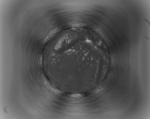 X0000101950357200808081510
