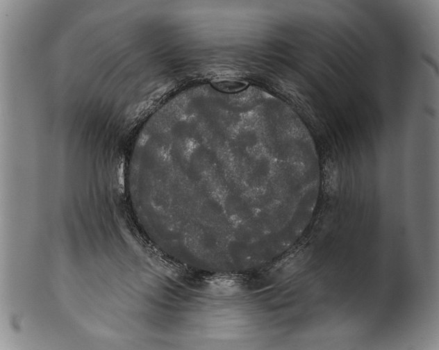 X0000101950358200808081510